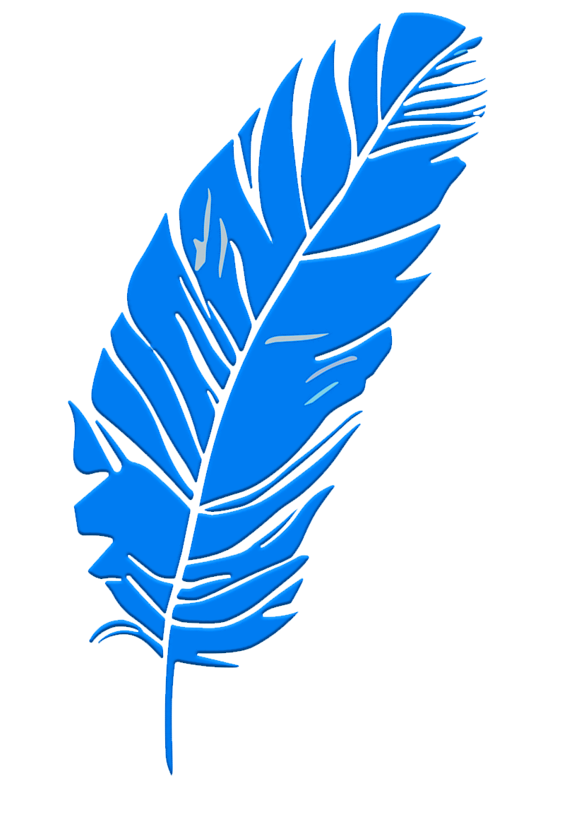 Origin Feather